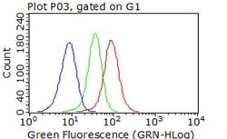 CDK2 Monoclonal Antibody (OTI5A10), TrueMAB , OriGene 30 &mu;L; Unconjugated:Antibodies,