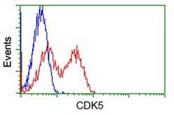 CDK5 Mouse anti-Canine, Human, Clone: OTI2H6, liquid, TrueMAB 100 &mu;L;