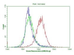 CDKN2A Monoclonal Antibody (OTI11D3), TrueMAB , OriGene 100 &mu;L; Unconjugated:Antibodies,
