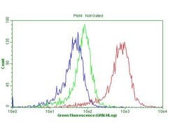CDKN2A Monoclonal Antibody (OTI11D3), TrueMAB , OriGene 100 &mu;L; Unconjugated:Antibodies,