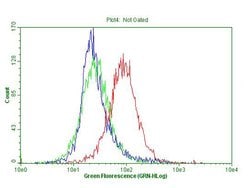 CDKN2A Monoclonal Antibody (OTI10F12), TrueMAB , OriGene 100 &mu;L; Unconjugated:Antibodies,