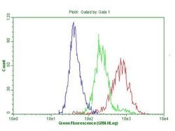 CDKN2A Mouse anti-Human, Clone: OTI11E9, lyophilized, TrueMAB 100 &mu;g;