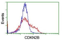 CDKN2B Monoclonal Antibody (OTI3B6), TrueMAB , OriGene 100 &mu;L; Unconjugated:Antibodies,
