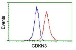 CDKN3 Mouse anti-Human, Clone: OTI2E11, liquid, TrueMAB 100 &mu;L; Unconjugated:Antibodies,