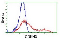 CDKN3 Mouse anti-Human, Clone: OTI5H1, lyophilized, TrueMAB 100 &mu;g;