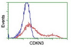 CDKN3 Monoclonal Antibody (OTI5H1), TrueMAB , OriGene 100 &mu;L; Unconjugated:Antibodies,