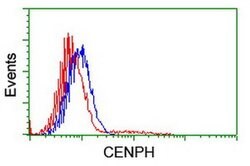 CENPH Monoclonal Antibody (OTI1D5), TrueMAB , OriGene 100 &mu;L; Unconjugated:Antibodies,