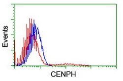 CENPH Mouse anti-Human, Clone: OTI1A6, lyophilized, TrueMAB 100 &mu;g;