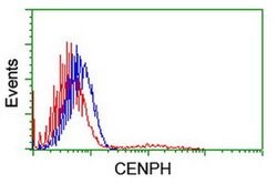CENPH Monoclonal Antibody (OTI1A6), TrueMAB , OriGene 100 &mu;L; Unconjugated:Antibodies,