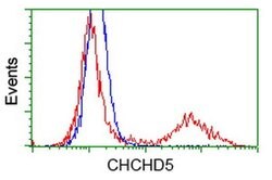 CHCHD5 Monoclonal Antibody (OTI6G8), TrueMAB , OriGene:Antibodies:Primary