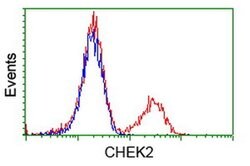 CHEK2 Mouse anti-Canine, Human, Clone: OTI4C10, liquid, TrueMAB 100 &mu;L;