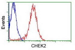 CHEK2 Mouse anti-Canine, Human, Clone: OTI10G7, lyophilized, TrueMAB 100