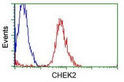 CHEK2 Mouse anti-Canine, Human, Clone: OTI5C4, liquid, TrueMAB 100 &mu;L;