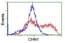 CHN1 Mouse anti-Human, Clone: OTI1C9, lyophilized, TrueMAB 100 &mu;g; Unconjugated:Antibodies,