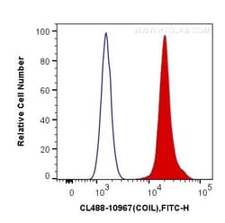 Coilin Polyclonal Antibody, CoraLite488, Proteintech 100 μL; CoraLite488:Antibodies,