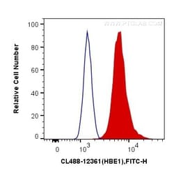 Hemoglobin Epsilon Polyclonal Antibody, CoraLite488, Proteintech 100 &mu;L;