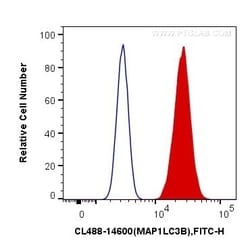 LC3 Polyclonal Antibody, CoraLite488, Proteintech 100 μL; CoraLite488:Antibodies,