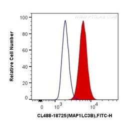 LC3B Polyclonal Antibody, CoraLite488, Proteintech 100 &mu;L; CoraLite488:Antibodies,