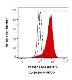 Phospho-AKT (Ser473) Monoclonal Antibody (1C10B8), CoraLite488, Proteintech