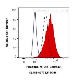 Phospho-mTOR (Ser2448) Monoclonal Antibody (2A12G3), CoraLite488, Proteintech