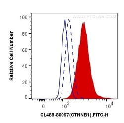 Proteintech Group Inc Phospho-Beta Catenin (Ser33) Recombinant Rabbit Monoclonal Antibody (3K1), CoraLite488, Proteintech