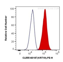 Cytokeratin 19 Monoclonal Antibody (3G1E4), CoraLite555, Proteintech 100