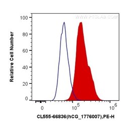 NeuN Monoclonal Antibody (3A4C1), CoraLite555, Proteintech 100 &mu;L; CoraLite555:Antibodies,