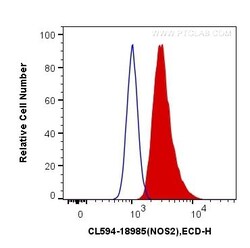 iNOS Polyclonal Antibody, CoraLite594, Proteintech 100 &mu;L; CoraLite594:Antibodies,