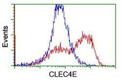 CLEC4E Mouse anti-Human, Clone: OTI2A8, liquid, TrueMAB 30 &mu;L; Unconjugated:Antibodies,
