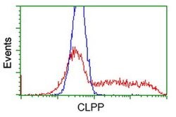 CLPP Monoclonal Antibody (OTI1C7), TrueMAB , OriGene 30 &mu;L; Unconjugated:Antibodies,