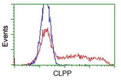 CLPP Monoclonal Antibody (OTI1G9), TrueMAB , OriGene 100 &mu;L; Unconjugated:Antibodies,