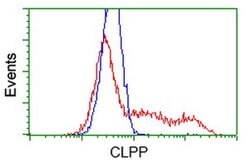 CLPP Monoclonal Antibody (OTI1F6), TrueMAB , OriGene:Antibodies:Primary
