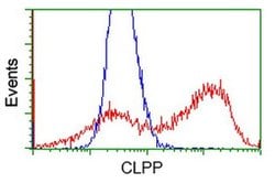 CLPP Monoclonal Antibody (OTI1D3), TrueMAB , OriGene:Antibodies:Primary