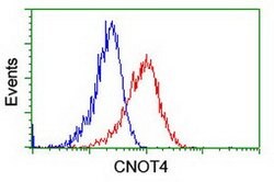 CNOT4 Mouse anti-Human, Clone: OTI3D11, lyophilized, TrueMAB 100 &mu;g;