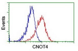 CNOT4 Monoclonal Antibody (OTI3D11), TrueMAB , OriGene 30 &mu;L; Unconjugated:Antibodies,