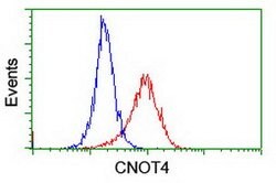 CNOT4 Mouse anti-Human, Clone: OTI3D11, lyophilized, TrueMAB 100 &mu;g;