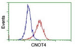 CNOT4 Monoclonal Antibody (OTI3D11), TrueMAB , OriGene:Antibodies:Primary