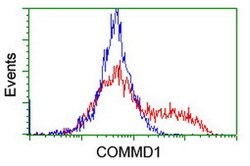 COMMD1 Mouse anti-Human, Clone: OTI3B3, lyophilized, TrueMAB 100 &mu;g;