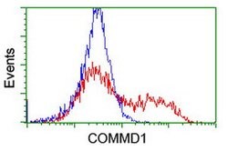 COMMD1 Mouse anti-Human, Clone: OTI1C3, lyophilized, TrueMAB 100 &mu;g;
