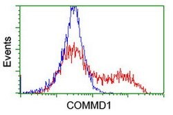 COMMD1 Mouse anti-Human, Clone: OTI1G7, lyophilized, TrueMAB 100 &mu;g;