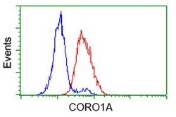CORO1A Mouse anti-Human, Clone: OTI1A5, lyophilized, TrueMAB 100 &mu;g;
