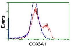 COX6A1 Monoclonal Antibody (OTI6H8), TrueMAB , OriGene 30 &mu;L; Unconjugated:Antibodies,