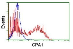 CPA1 (Carboxypeptidase A1) Mouse anti-Human, Clone: OTI1C1, lyophilized,