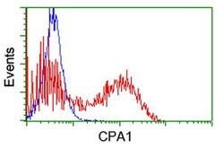 CPA1 (Carboxypeptidase A1) Mouse anti-Human, Clone: OTI1C12, lyophilized,