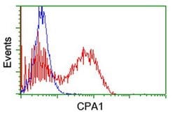 CPA1 (Carboxypeptidase A1) Monoclonal Antibody (OTI4E12), TrueMAB , OriGene