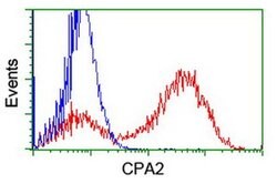 CPA2 Monoclonal Antibody (OTI1C7), TrueMAB , OriGene 100 &mu;L; Unconjugated:Antibodies,