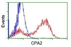 CPA2 Monoclonal Antibody (OTI1D8), TrueMAB , OriGene 30 &mu;L; Unconjugated:Antibodies,