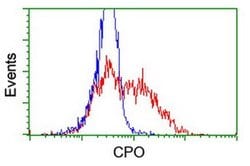 CPO Monoclonal Antibody (OTI1C1), TrueMAB , OriGene 100 &mu;L; Unconjugated:Antibodies,