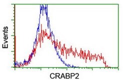 CRABP2 Mouse anti-Human, Clone: OTI10D6, lyophilized, TrueMAB 100 &mu;g;