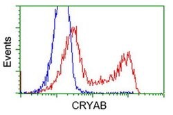 CRYAB Mouse anti-Human, Rat, Clone: OTI6D11, liquid, TrueMAB 30 &mu;L;